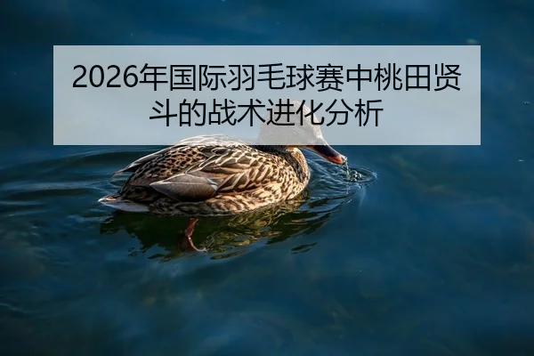nian-guo-ji-yu-mao-qiu-sai-zhong-tao-tian-xian-dou-de-zhan-shu-jin-hua-fen-xi-2-354.jpg