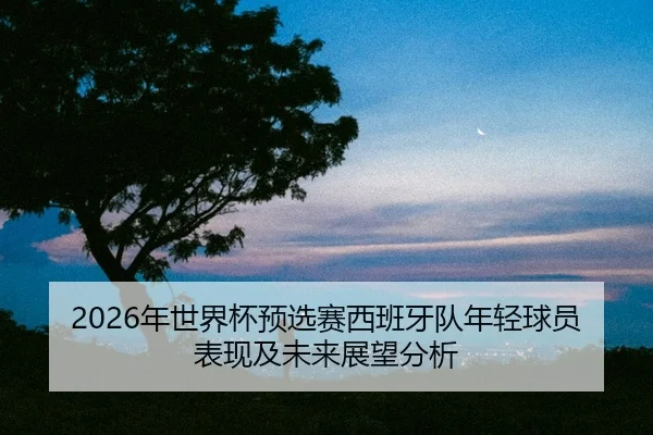 nian-shi-jie-bei-yu-xuan-sai-xi-ban-ya-dui-nian-qing-qiu-yuan-biao-xian-ji-wei-lai-zhan-wang-fen-xi-2-486.jpg