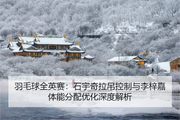 yu-mao-qiu-quan-ying-sai-shi-yu-qi-la-diao-kong-zhi-yu-li-zi-jia-ti-neng-fen-pei-you-hua-shen-du-jie-xi-3-909.jpg
