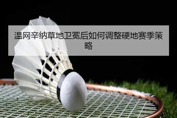 温网辛纳草地卫冕后如何调整硬地赛季策略