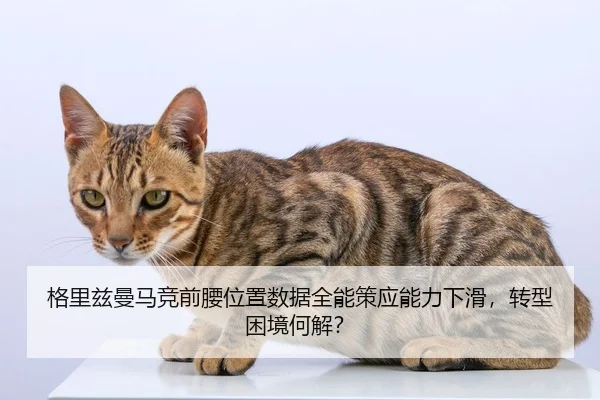 ge-li-zi-man-ma-jing-qian-yao-wei-zhi-shu-ju-quan-neng-ce-ying-neng-li-xia-hua-zhuan-xing-kun-jing-he-jie-2-320.jpg