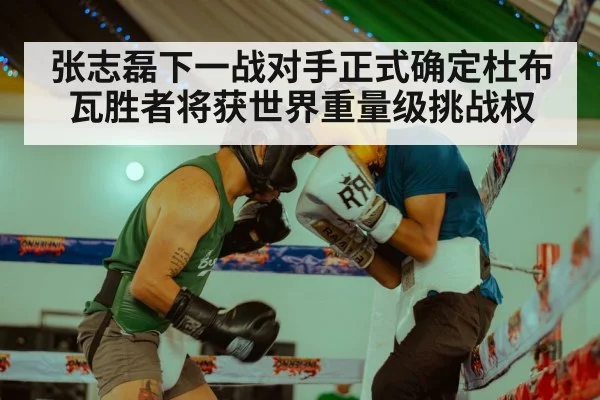 张志磊下一战对手正式确定杜布瓦胜者将获世界重量级挑战权