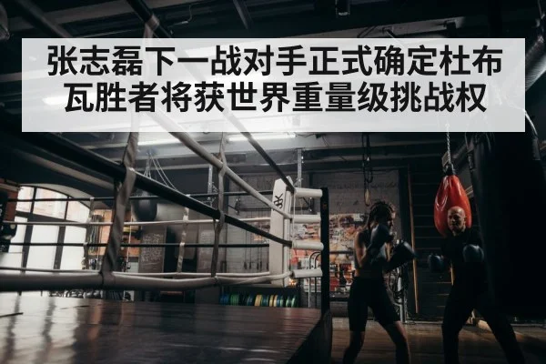 boxer training