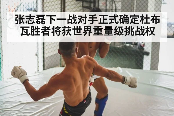 boxing fight